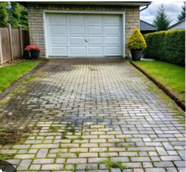 Same paver driveway before washing, covered in green algae and moss