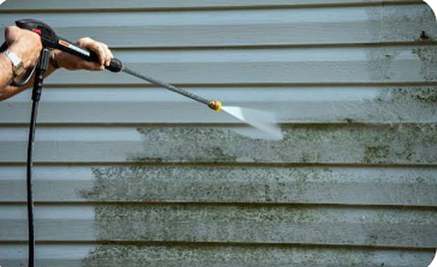 Technician soft washing vinyl siding covered in algae, clean stripe appearing behind the spray